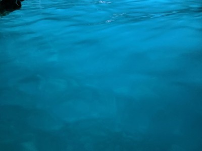 received_410661041360898