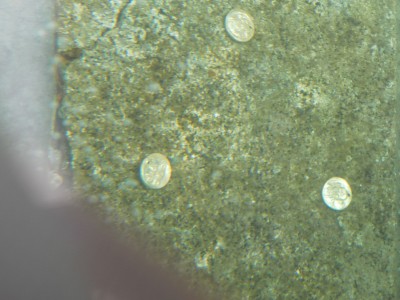 SAMSUNG DIGITAL CAMERA