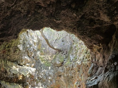 received_1018618099669328