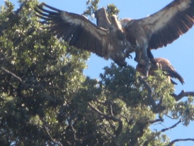 Treasure-Hunt-Potraga_blago7