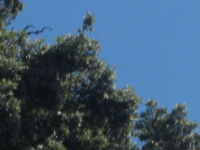 Treasure-Hunt-Potraga_blago1