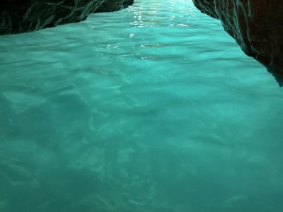 received_492633299905602