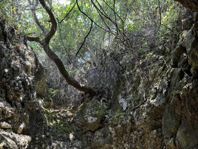 received_454602804107370