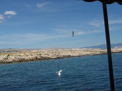 Treasure-Hunt-Potraga_blago9