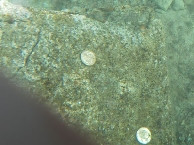 SAMSUNG DIGITAL CAMERA