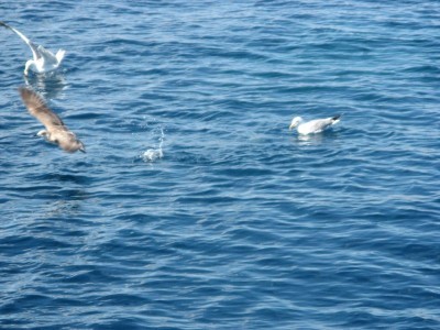 Treasure-Hunt-Potraga_blago11