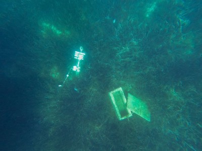 otac-roko-izlet-blago-skrinja