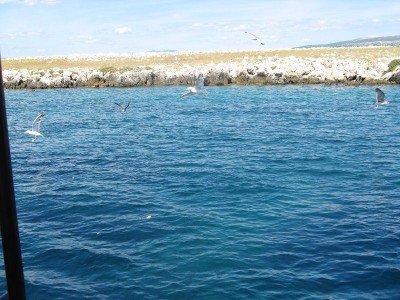 Treasure-Hunt-Potraga_blago4