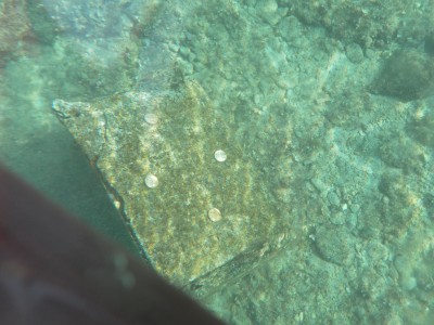 SAMSUNG DIGITAL CAMERA