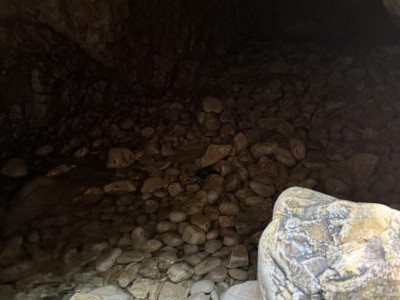 received_1000663314668176