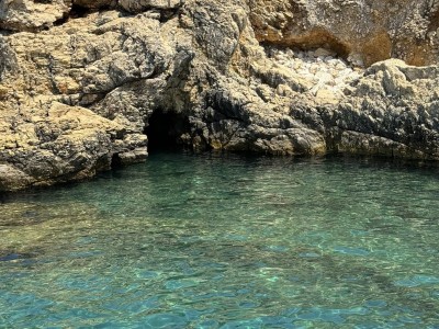 received_1031646088530189