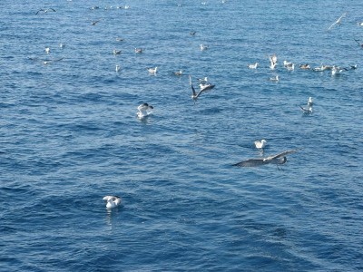 Treasure-Hunt-Potraga_blago10