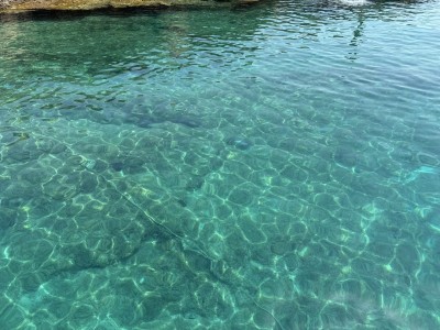 received_1018622029270735