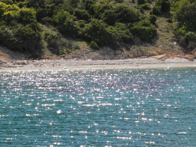 SAMSUNG DIGITAL CAMERA